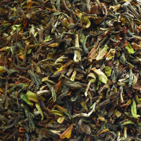 Premium Steinthal SFTGFOP1 Darjeeling first flush